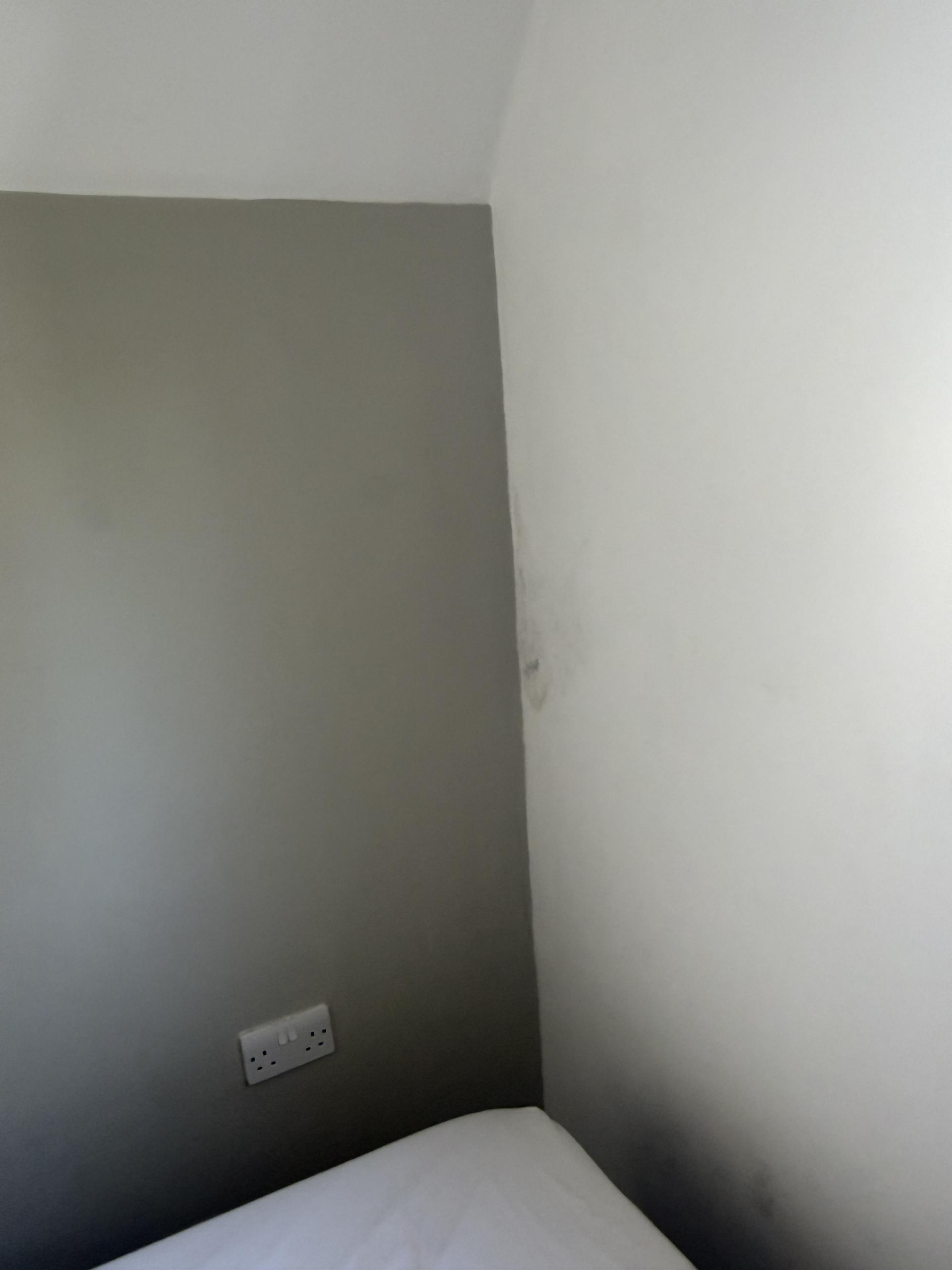 Damp staining on interior ceiling before render repair, Chorleywood