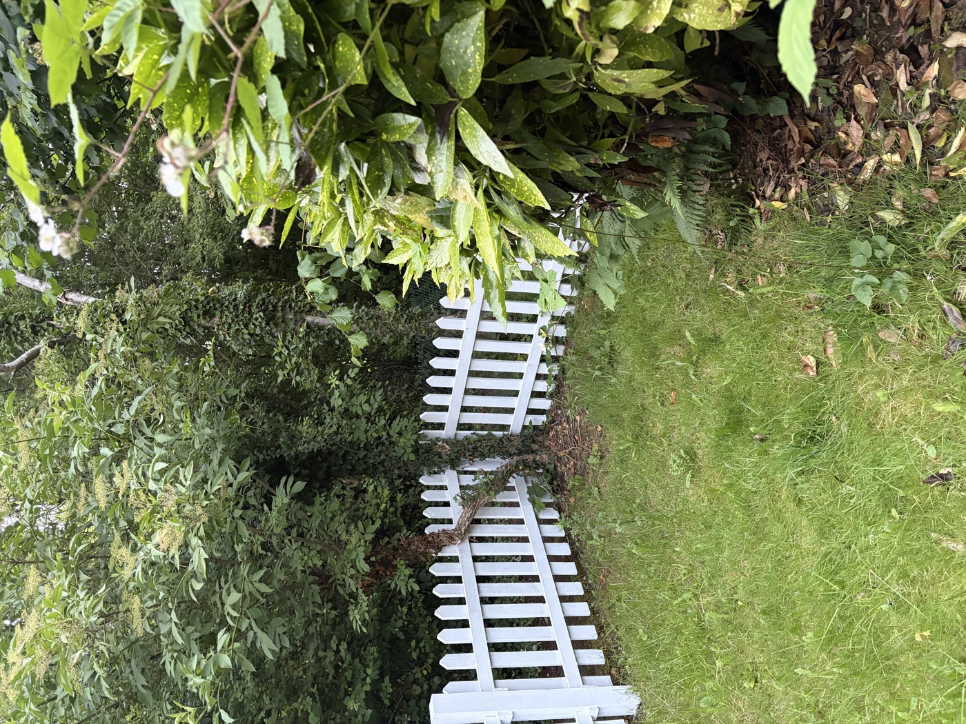 White picket fence from above — even finish, clean lines